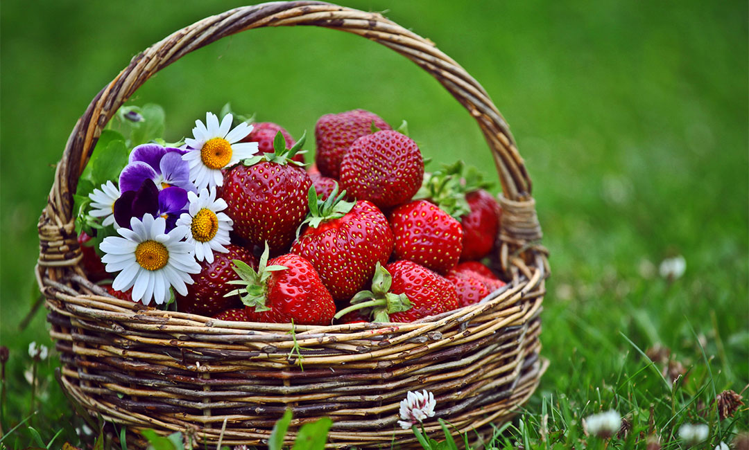 黔西南点呀点水果电商APP开发案例